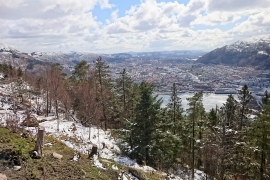 Scenic views from Mt Floyen
