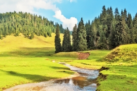 Romanian landscape