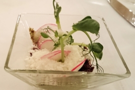 A starter to represent nature